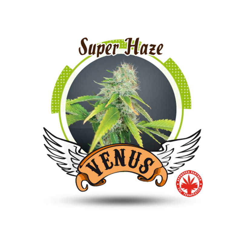 Venus Genetics - Super Haze (5f)