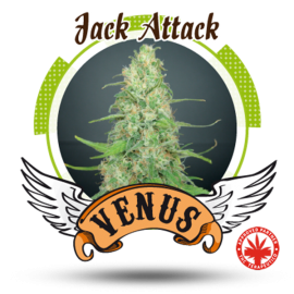 Venus Genetics - Jack Attack (3f)