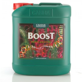 Boost Accelerator 10L (Canna) ^