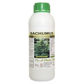 Bachumus Evolution C 1L