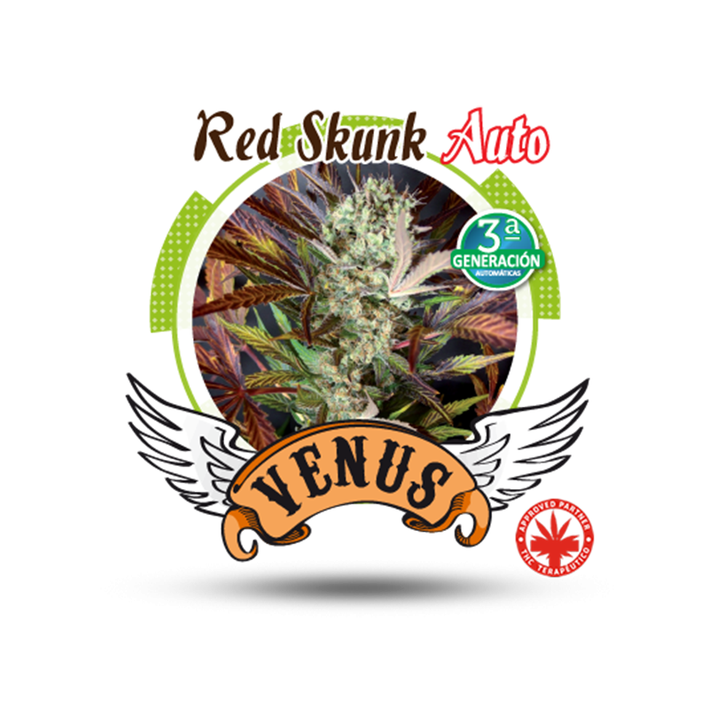 Venus Genetics - Red Skunk Auto (5f)