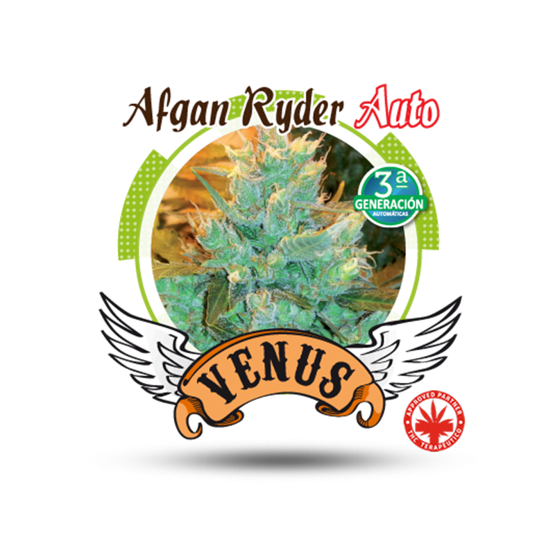 Venus Genetics - Afgan Ryder Auto (3f)