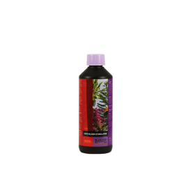 Bcuzz Coco Bloomstimulator 500ml (Atami)