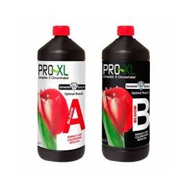 BLOOM A&B 1L PRO-XL